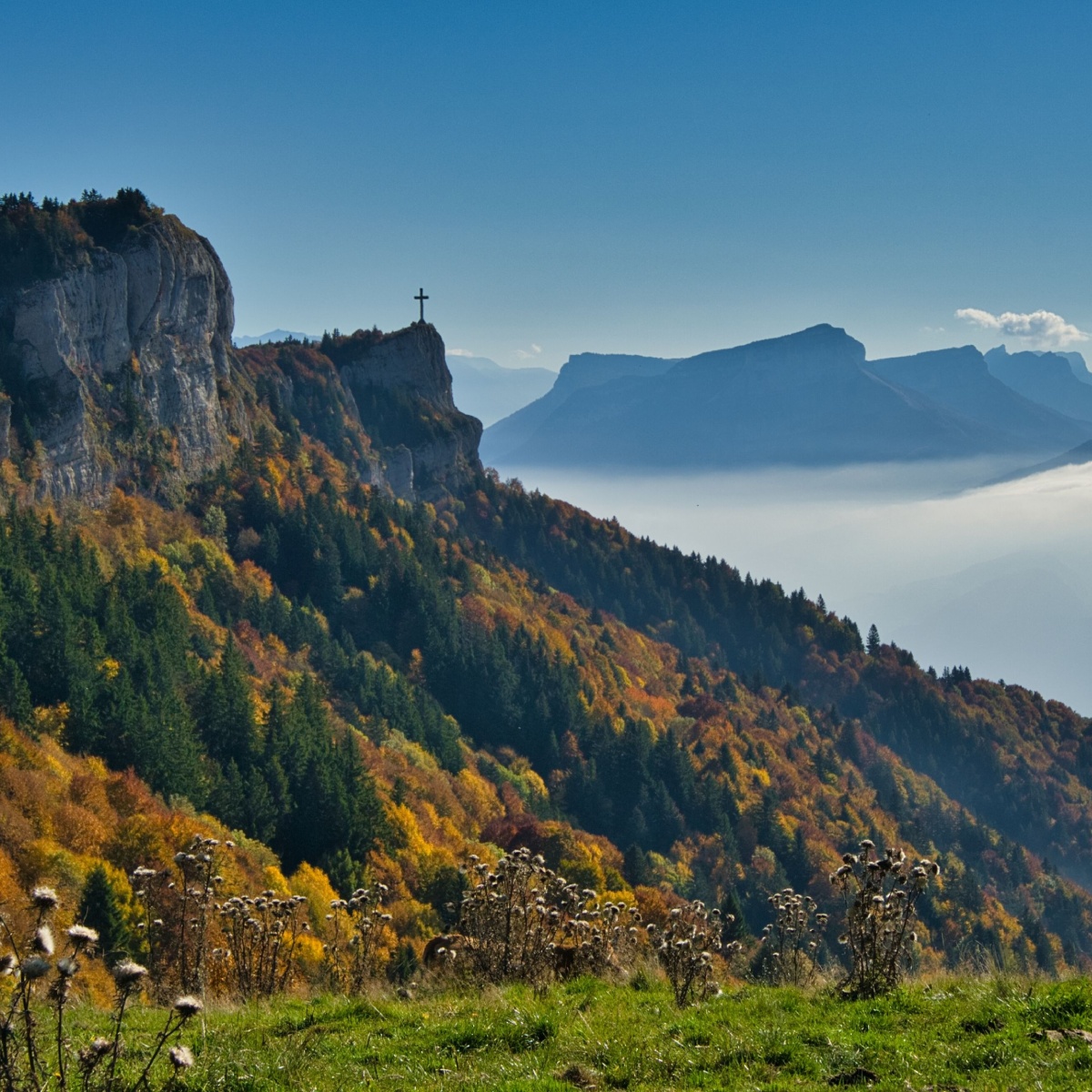 Diagnostics Immobiliers Drumettaz-Clarafond 73420
